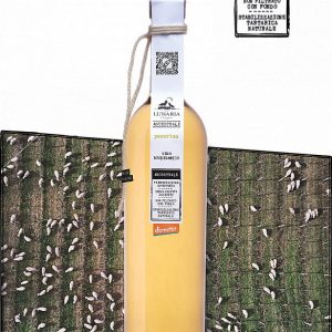 Pecorino Ancestrale Lunaria Orosogna cl. 75